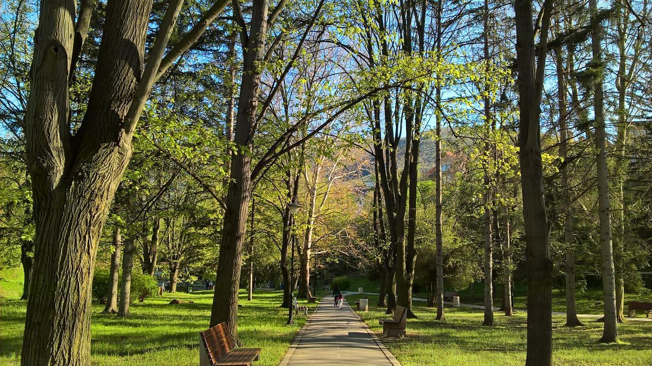Apartman Linera Soko Banja Dış mekan fotoğraf